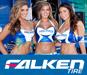 Falken (3)